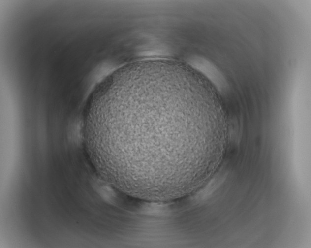 X0000113981357200910091309