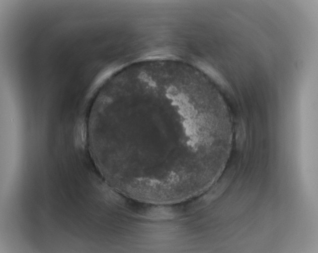 X0000113981358200910091309