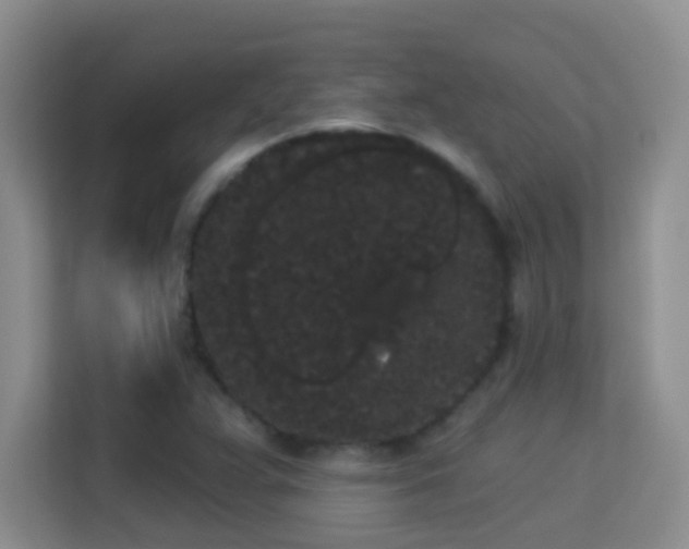 X0000113981359200910091309