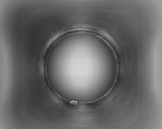 X0000113981360200910091309