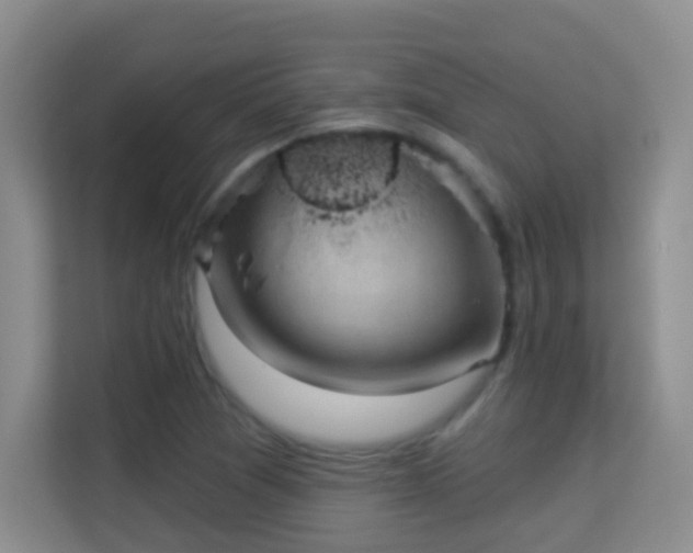 X0000113981361200910091309