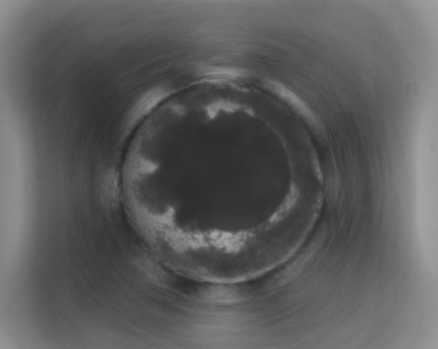 X0000113981362200910091309