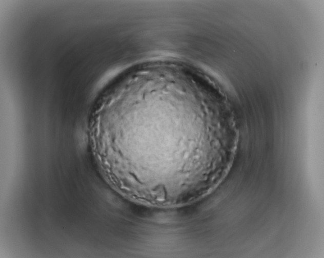 X0000113981363200910091309