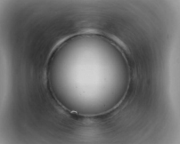 X0000113981364200910091309