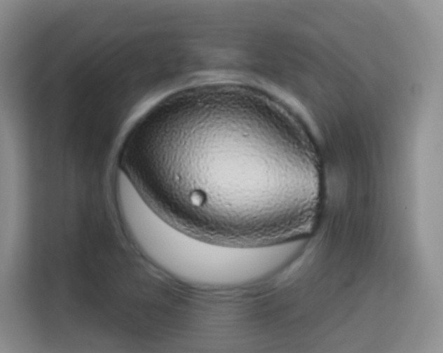 X0000113981365200910091309