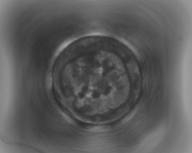 X0000113981367200910091309