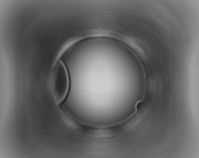 X0000113981368200910091309