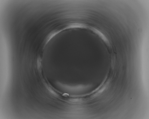 X0000113981369200910091309