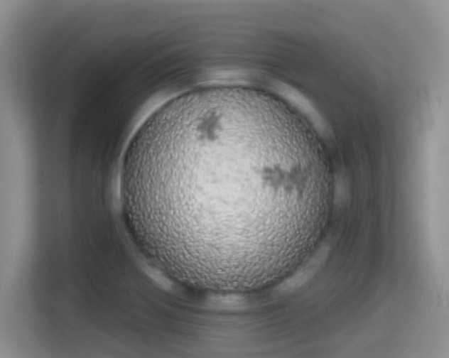 X0000113981370200910091309