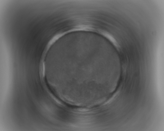 X0000113981371200910091309