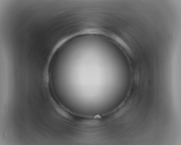 X0000113981372200910091309