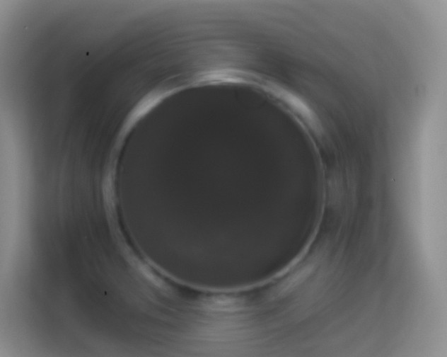 X0000113981373200910091309