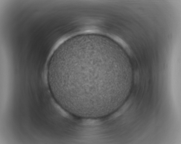 X0000113981374200910091309