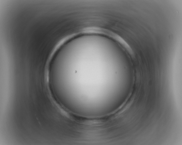 X0000113981376200910091309