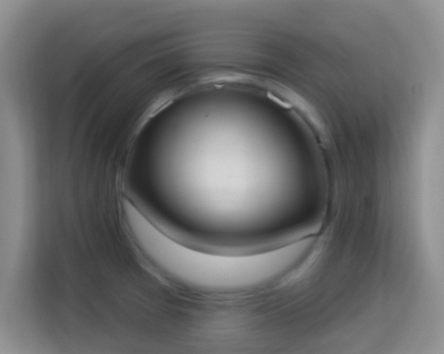 X0000113981377200910091309