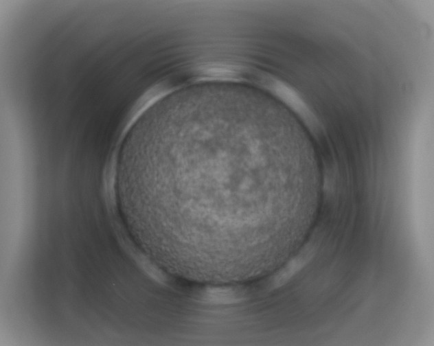 X0000113981378200910091309