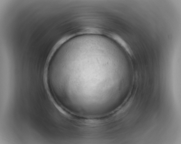 X0000113981379200910091309