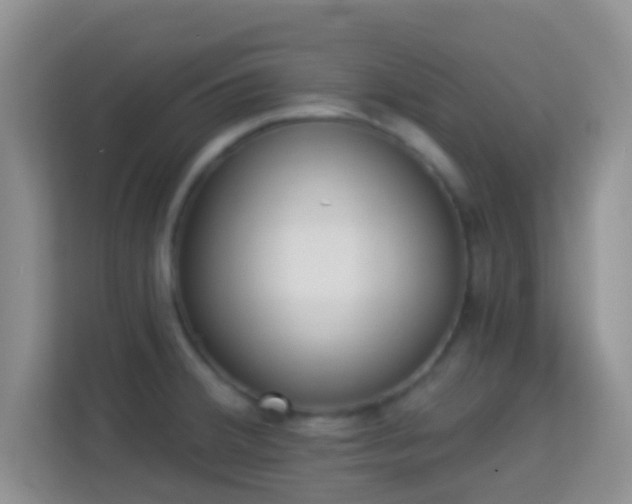 X0000113981380200910091309