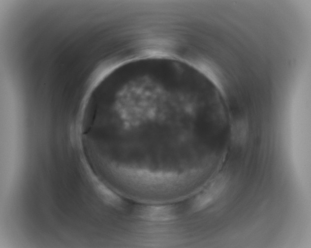 X0000113981381200910091309