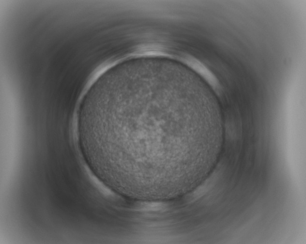 X0000113981382200910091309