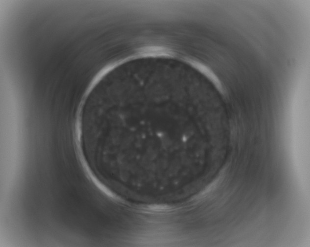 X0000113981383200910091309