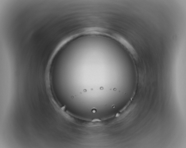 X0000113981384200910091309