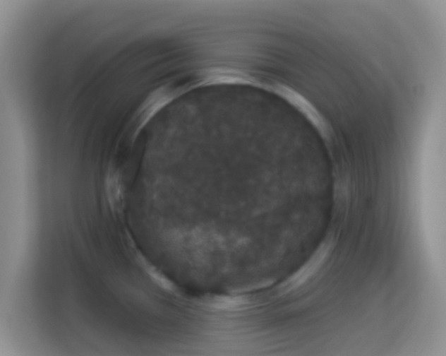 X0000113981385200910091309