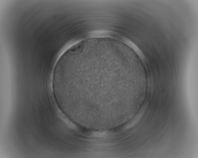 X0000113981386200910091309