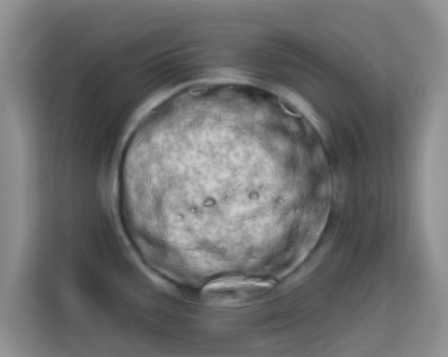 X0000113981387200910091309