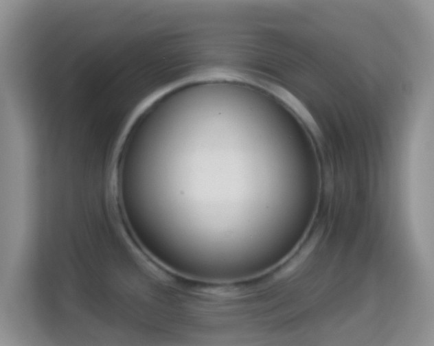 X0000113981388200910091309