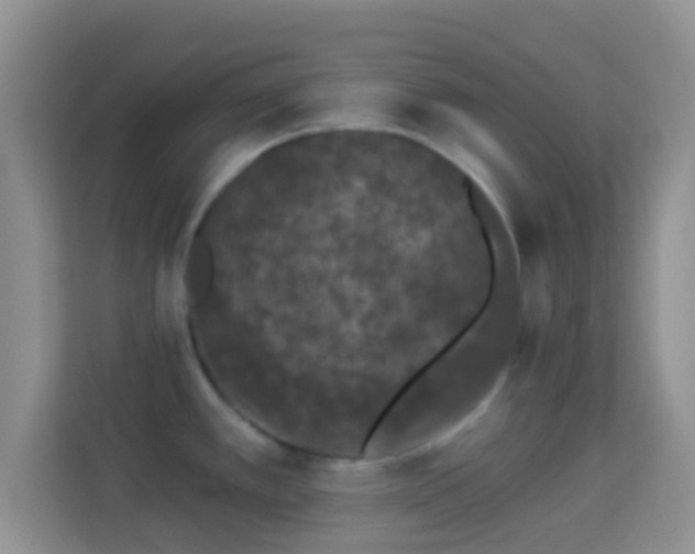 X0000113981389200910091309