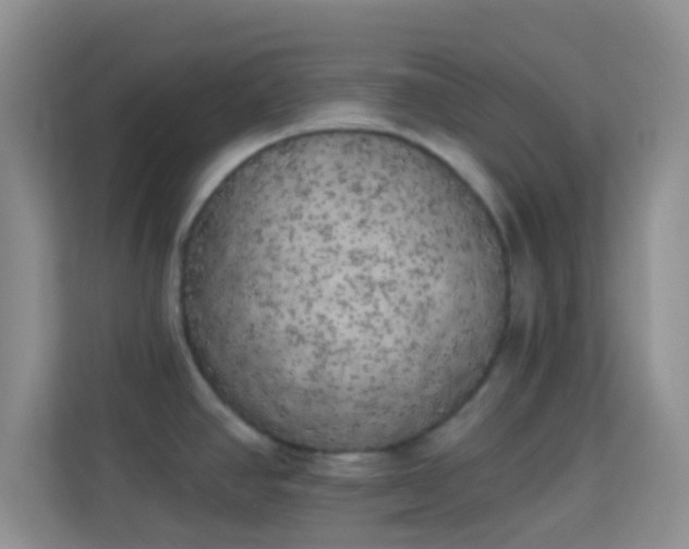 X0000113981390200910091309