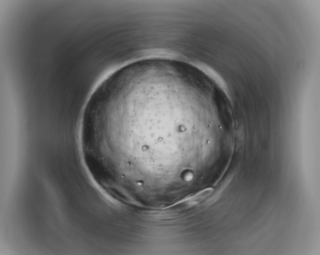 X0000113981391200910091309