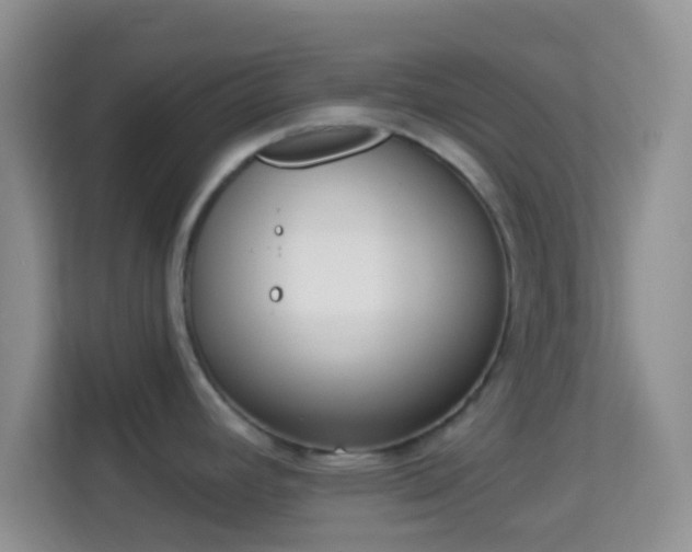 X0000113981392200910091309