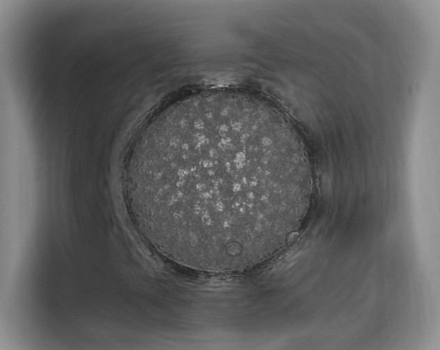 X0000113981393200910091308