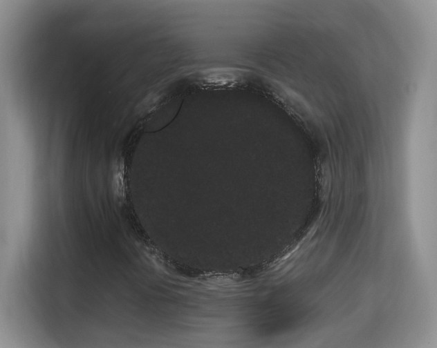 X0000113981394200910091308