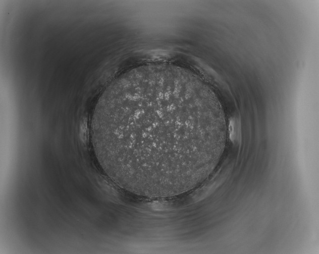 X0000113981395200910091308