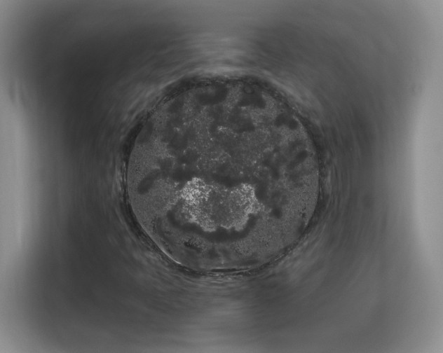 X0000113981397200910091308