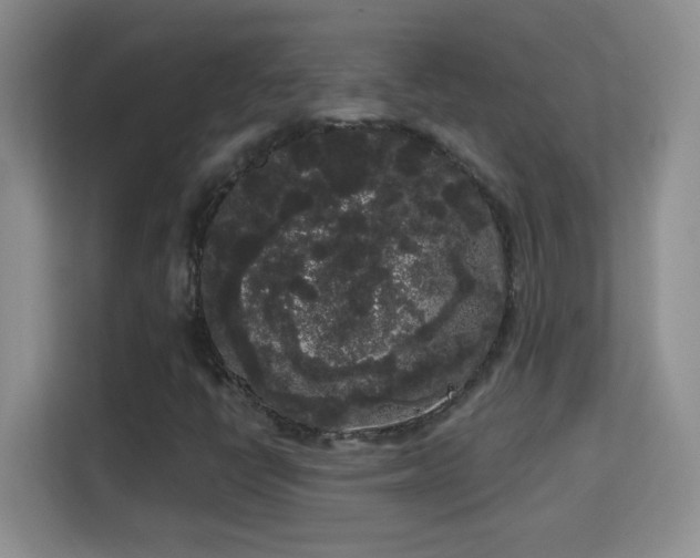 X0000113981398200910091308