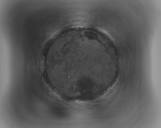 X0000113981399200910091308