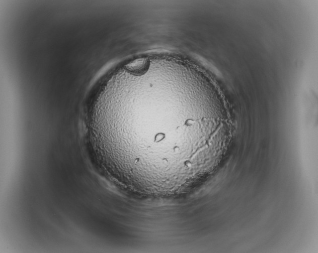 X0000113981400200910091308