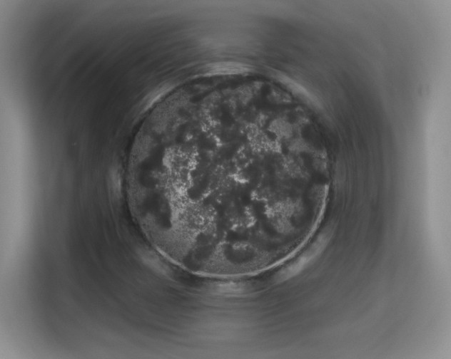 X0000113981401200910091308