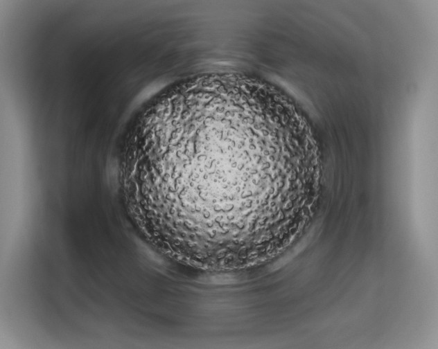 X0000113981402200910091308