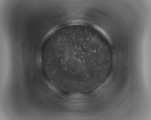 X0000113981403200910091308