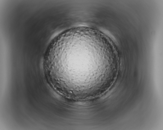 X0000113981404200910091308