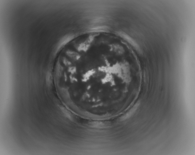 X0000113981405200910091308