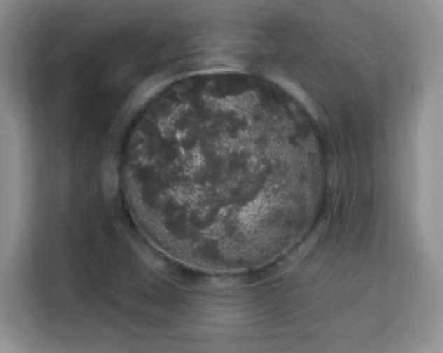 X0000113981407200910091308