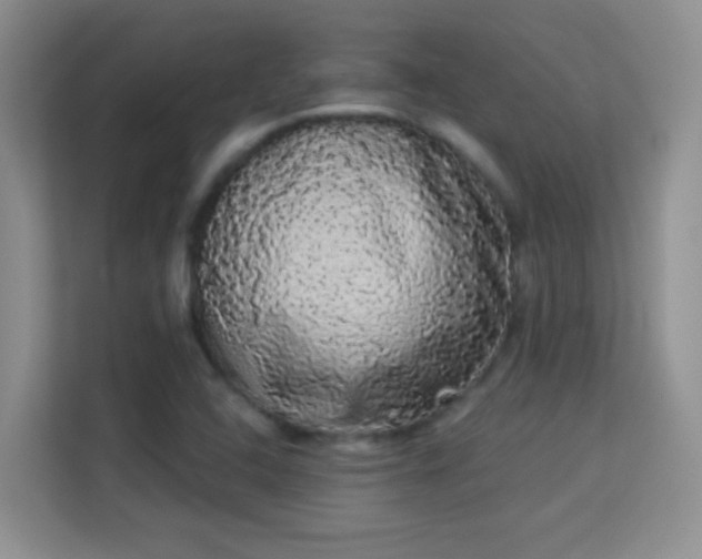 X0000113981408200910091308