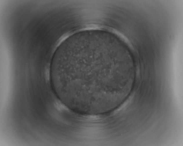 X0000113981409200910091308