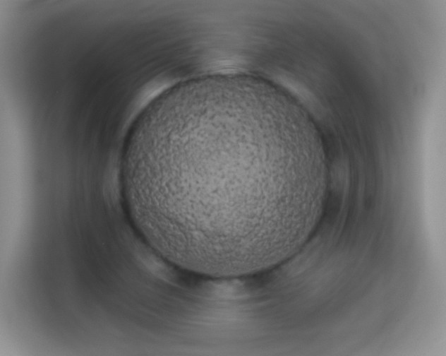 X0000113981410200910091308